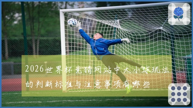 2026世界杯竞猜网站中大小球玩法的判断标准与注意事项有哪些