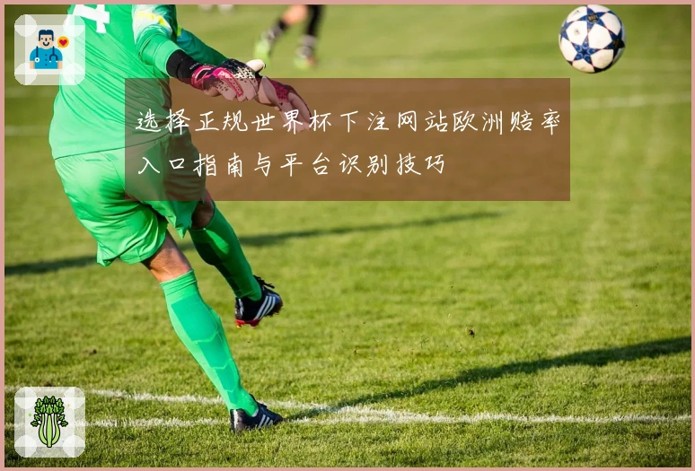 选择正规世界杯下注网站欧洲赔率入口指南与平台识别技巧