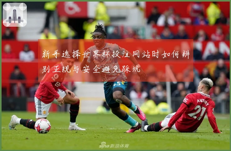 新手选择世界杯投注网站时如何辨别正规与安全避免踩坑